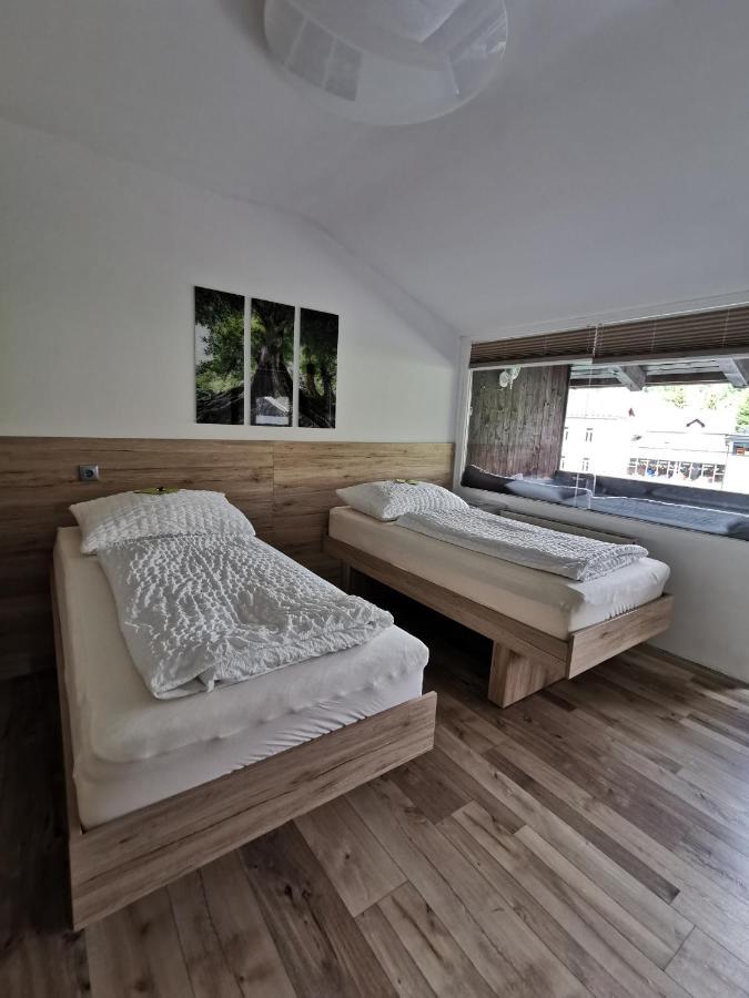 Appartement Mit Doppelbett Oder 2 Einzelbetten Bad Aussee Exterior photo