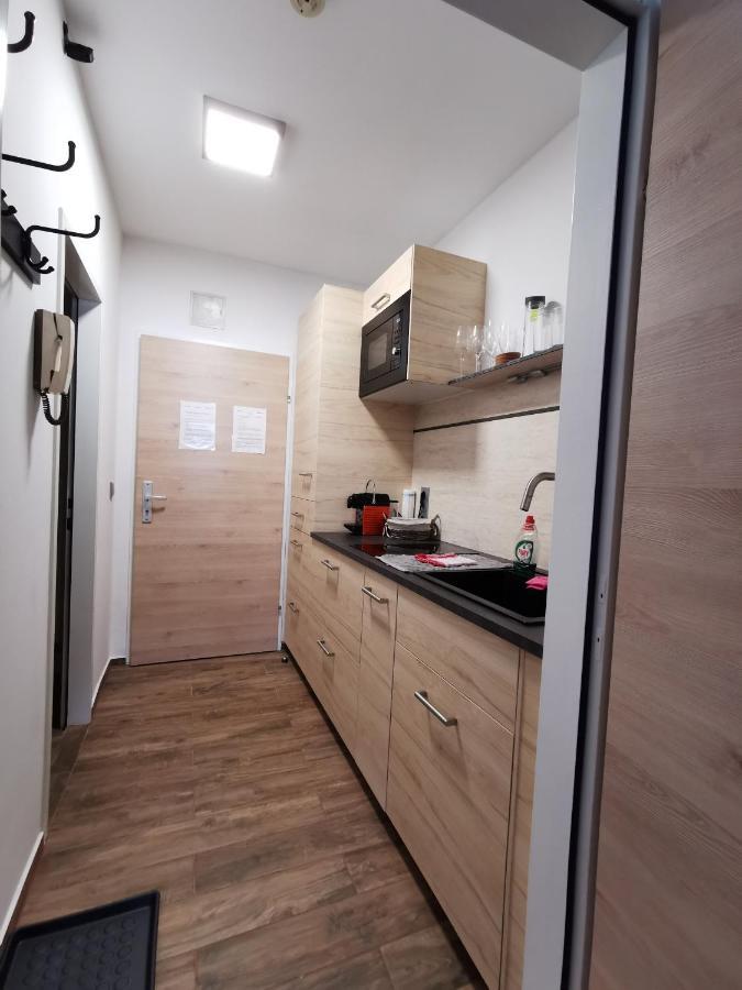 Appartement Mit Doppelbett Oder 2 Einzelbetten Bad Aussee Exterior photo