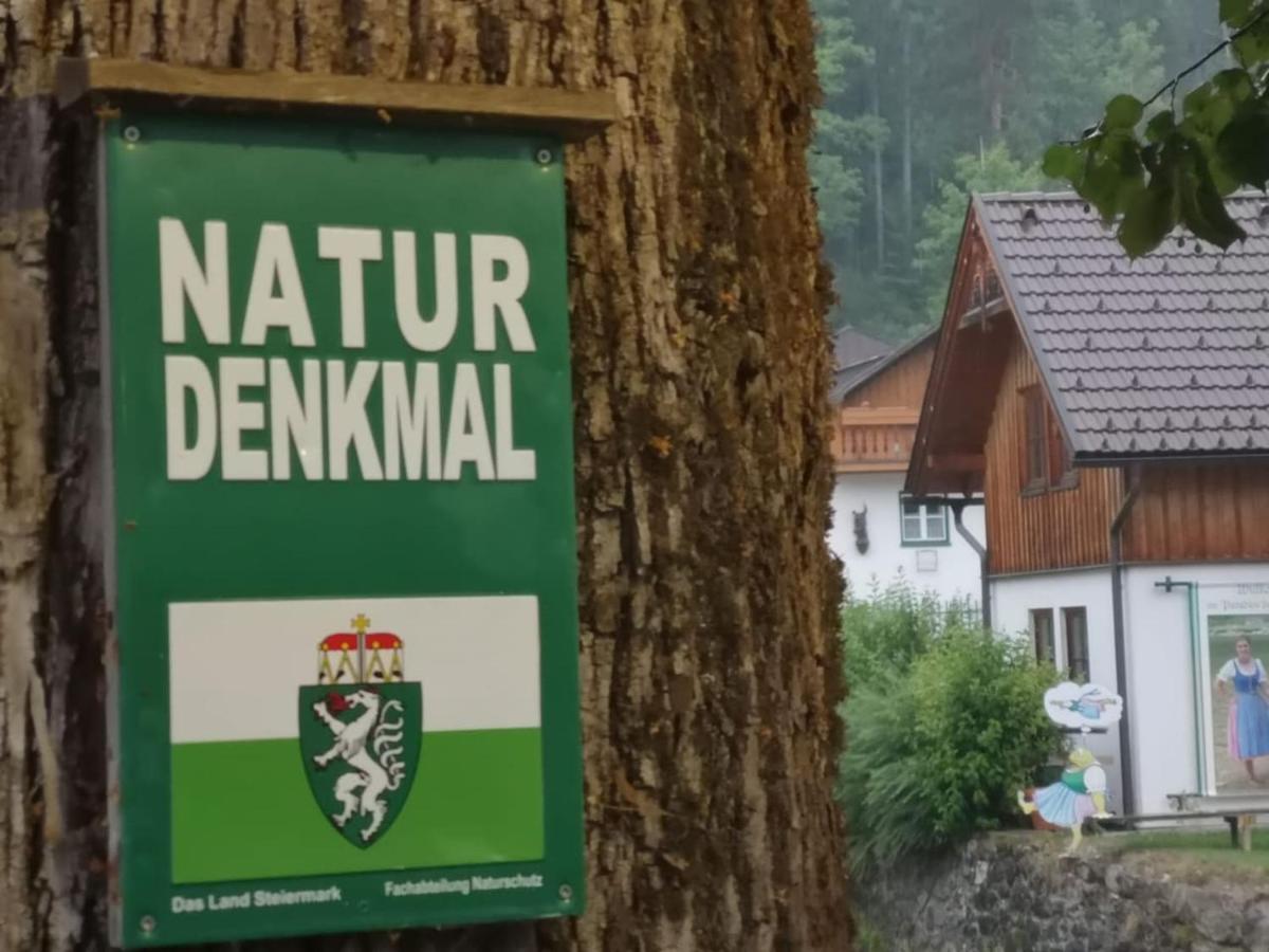 Appartement Mit Doppelbett Oder 2 Einzelbetten Bad Aussee Exterior photo